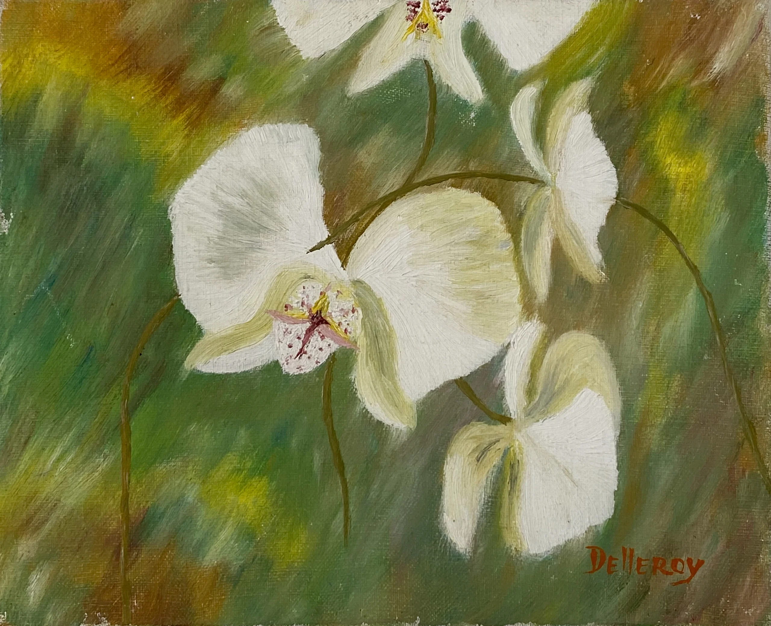 Orchidées Blanches Orchidées Blanches (h22 x 27)