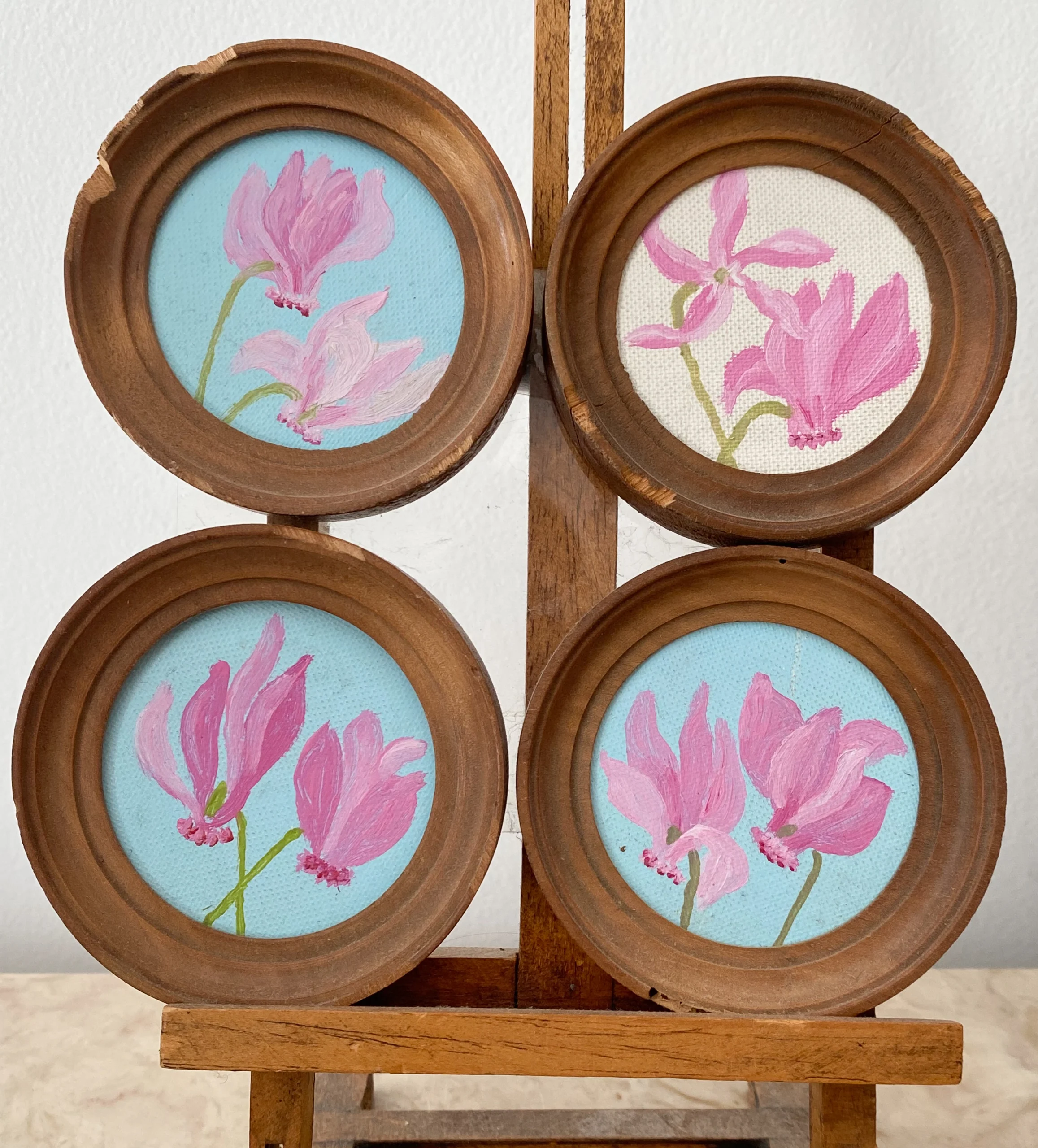 Cyclamens Cyclamens (DM 5,5)
